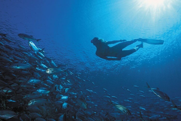 Scuba diving
